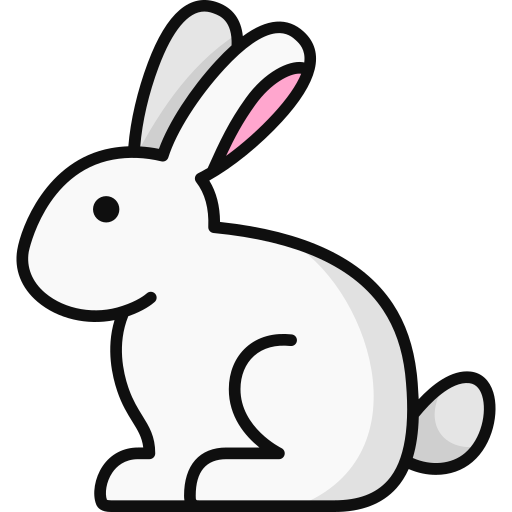 lapin sur ses pattes